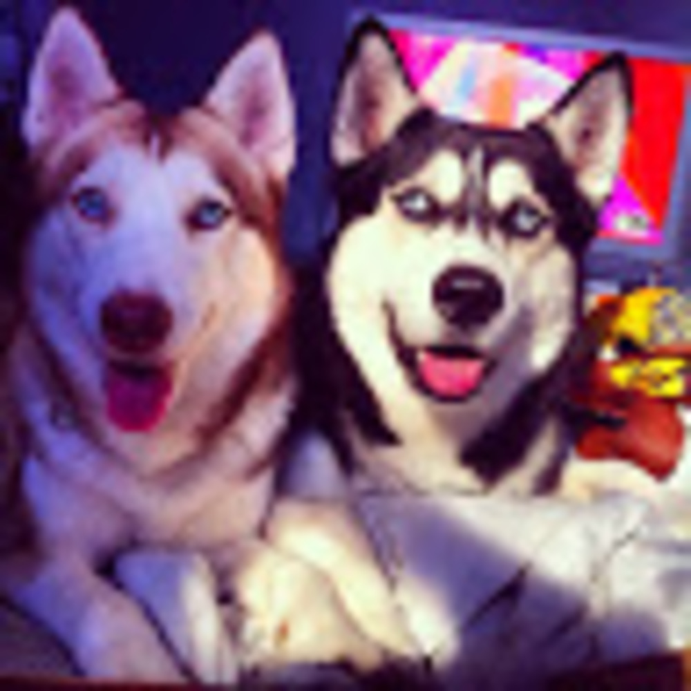 Meet your Posher, Ana